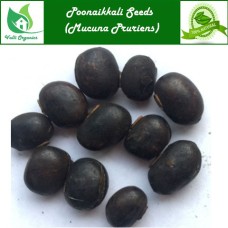 Poonaikkali Seeds | Velvet Beans | Jangali | Naikkuran | Dulagondi | Mucuna Pruriens 100gm
