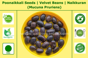 Poonaikkali Seeds | Velvet Beans | Jangali | Naikkuran | Dulagondi | Mucuna Pruriens 100gm