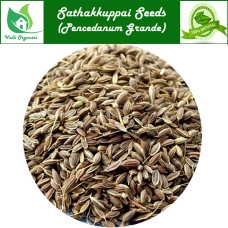 Sathakkuppai Powder | Dill Seeds | Soyo | Sabasige | Surva | Pencedanum Grande 100gm