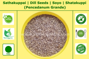 Sathakkuppai | Dill Seeds | Soyo | Shatakuppi | Sabasige | Pencedanum Grande 100gm Sathakkuppai | Dill Seeds | Soyo | Shatakuppi | Sabasige | Pencedanum Grande 100gm