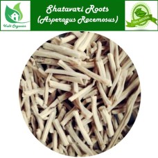 Shatavari Roots Powder | Satawar | Adharvela | Ashadhi | Asparagus Racemosus 100gm