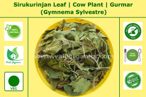 Sirukurinjan Leaves | Cowplant | Gurmar | Merasingi | Gymnema Sylvestre 100gm