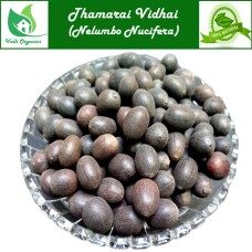 Thamarai Vidhai | Lotus Seeds | Kamal Seeds | Bil Kamala | Nelumbo Nucifera 100gm