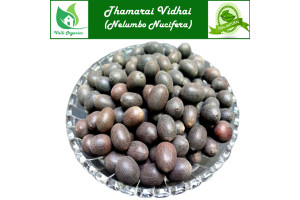 Thamarai Vidhai | Lotus Seeds | Kamal Seeds | Bil Kamala | Nelumbo Nucifera 100gm