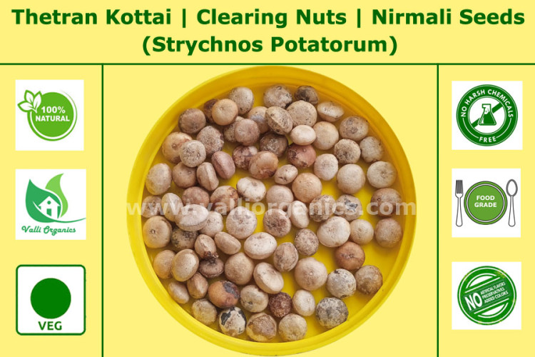 Thetran Kottai | Clearing Nut | Nirmali Seeds | Kataka | Strychnos Potatorum 100gm Thetran Kottai | Clearing Nut | Nirmali Seeds | Kataka | Strychnos Potatorum 100gm