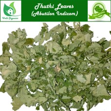 Thuthi Leaves| Indian Mallow | Kanghai | Duvvena Kayalu | Abutilon Indicum 50gm