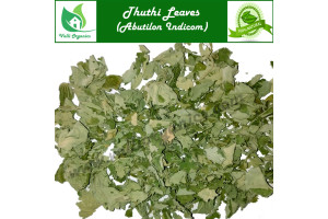 Thuthi Leaves| Indian Mallow | Kanghai | Duvvena Kayalu | Abutilon Indicum 50gm