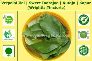 Vetpalai Ilai | Sweet Indrajao | Kutaja | Kodhisha | Kapur | Wrightia Tinctoria 100gm