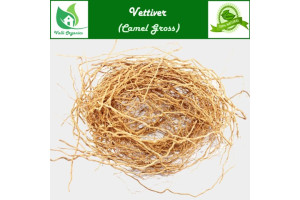 Vetti Ver | Valak Roots | Iruvelli | Kuriveru | Vettiveru | Coleus Vettiveroides 100gm