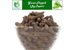 Yanai Thippili | Big Pepper | Hippali | Pippali | Kattuthippili | Piper Longum 100gm